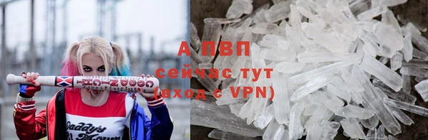 твердый Балахна