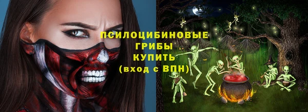 гидропоника Нягань