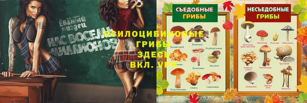 гидропоника Няндома