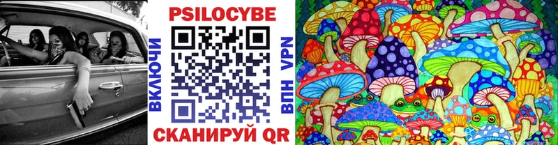 Псилоцибиновые грибы Psilocybine cubensis  цены   Орлов 